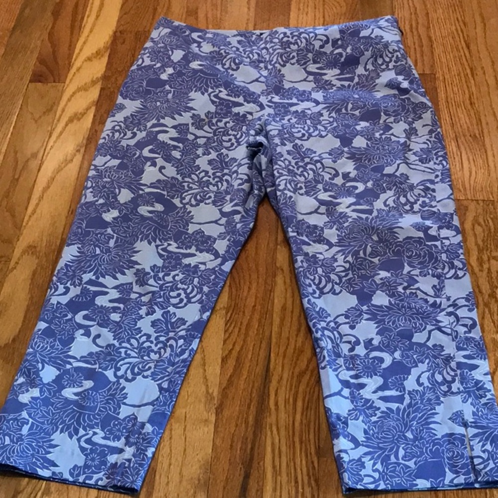 Ann Taylor~Cropped~Nice 💙